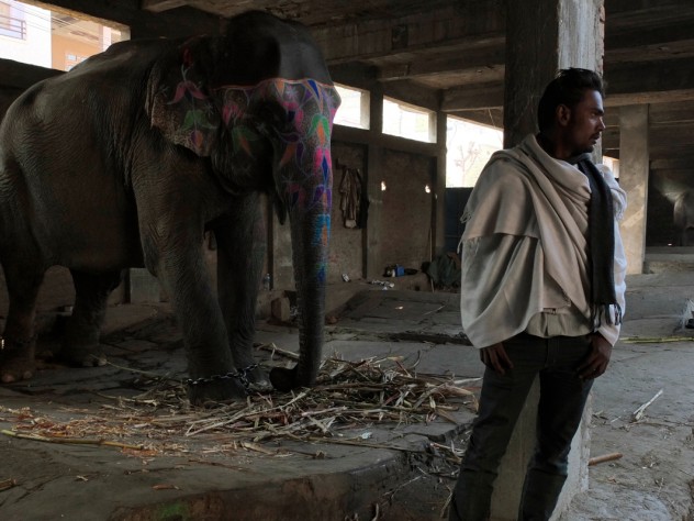 Photograph by Peter Pereira Before Mehrotra's firm won the contest to design the elephant village, the government built its own housing for the elephant keepers: a concrete-block building in an urban setting. The <i>mahouts</i> who still live here say they will move to Hathigaon as soon as more homes are complete there.