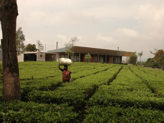Courtesy of RMA Architects Mehrotra's firm also built a country house for a machine-tool company owner. Mehrotra convinced the owner to keep the tea plants on his property, and allow local people to harvest and sell the tea, rather than replacing the plants with manicured gardens. This strategy helps both the local ecology <i>and</i> the economy.