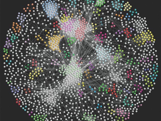 A large-scale map of protein interactions in fruit flies provides new ways to study disease.
