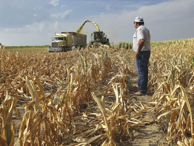 Changes in climate have surprisingly far-reaching economic effects. 