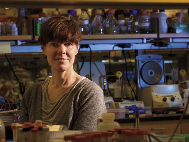 Suzanne Walker discovered targocil, a molecule that blocks certain mechanisms of drug resistance. 