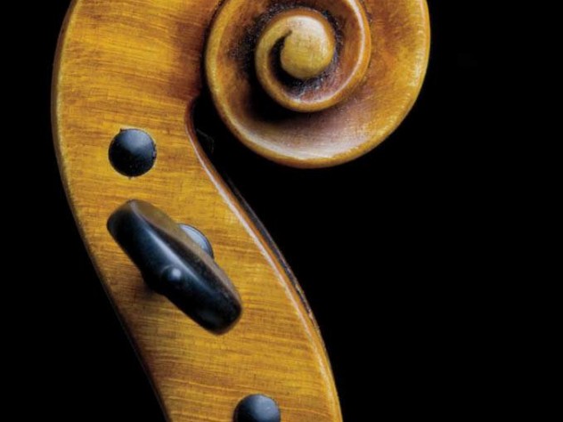 An ornate scroll on the neck of a violin.