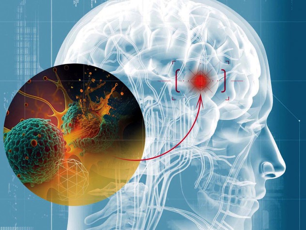 Illustration of a translucent human head showing the brain within, with an exploded view of a cancer cell killing another cancer cell within the brain.