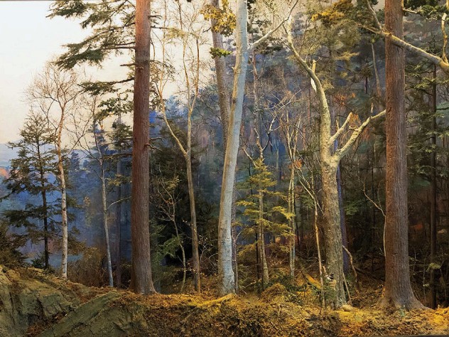 Realistic diorama of an old growth forest