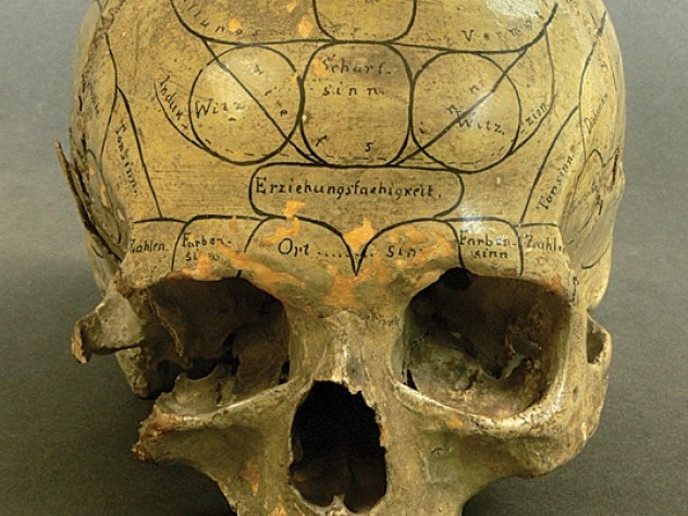 Photograph by Eszter Blahak/Semmelweis Museum Phrenologists held that the specific site of bumps on the skull, as marked on this nineteenth-century specimen, helped indicate a subject’s cognitive or moral strengths and weaknesses by revealing the volume of brain area beneath each one.
