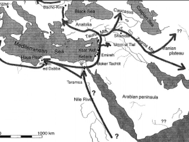 Courtesy Ofer Bar-Yosef Colonization routes during the Middle Paleolithic were often similar to paths of dispersion during the Neolithic Revolution.