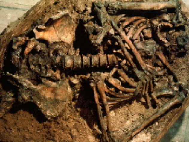 Kebara Archives A Neanderthal man dated to about 60,000 years ago, found in a dug-out grave in Kebara Cave on Mount Carmel in northern Israel. The shape of the man's hyoid bone, which controls the tongue, suggests that he was capable of speech. His skull had been removed without disturbing the other bones after the flesh had decayed, perhaps as part of a symbolic mortuary practice.