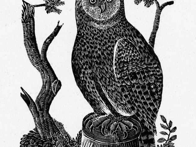 Jonathan Fisher&rsquo;s wood engraving &ldquo;The Great Owl,&rdquo; from his book <i>Scripture Animals,</i> and his home in Blue Hill, Maine 