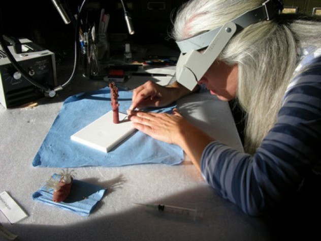 Photograph courtesy of the Museum of Comparative Zoology, Harvard University/©President and Fellows of Harvard College Preservation specialist and glass worker Elizabeth Brill cleaned the models and reattached pieces that had fallen off owing to glue failure. Here she works on a model of red coral. (MCZ SC5, <i>Corallium rubrum</i>)