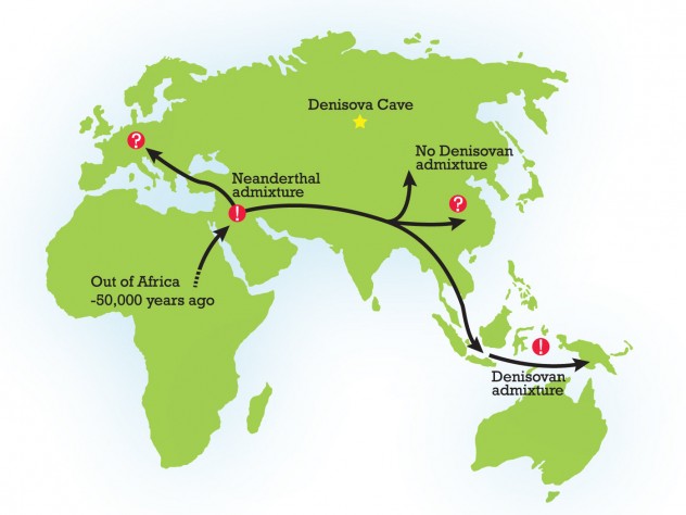 Early modern humans likely encountered Neanderthals and Denisovans after migrating from Africa approximately 50,000 years ago. 