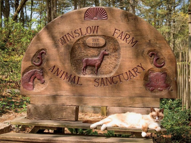 The evocative entrance to Winslow Farm Sanctuary