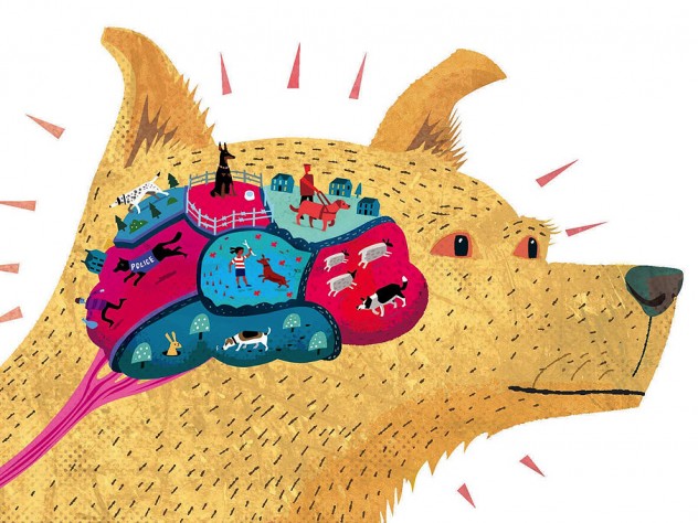 Illustration of a dog with a brain made up of different colorful regions depicting skills such as hunting and herding