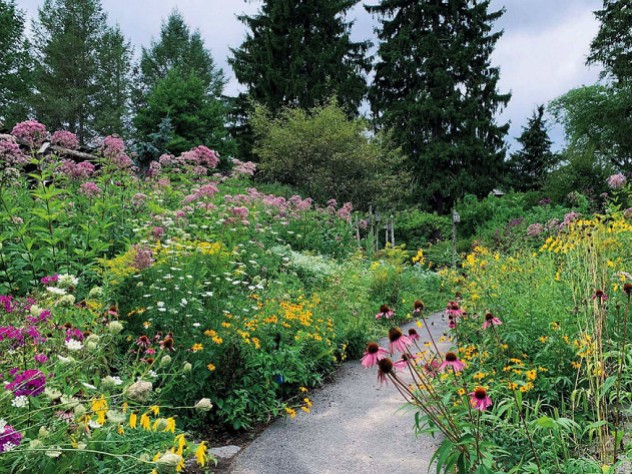 View of summer garden in bloom with walking path 