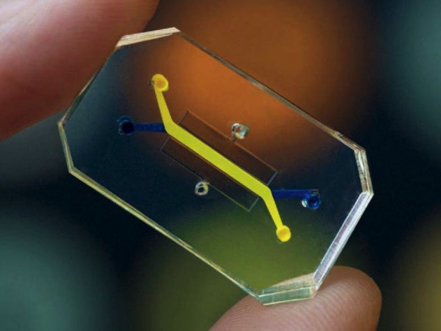 Pictured is a clear plastic rectangle with printed circuits inside it, held between two fingers