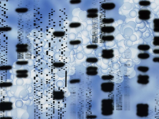 Computer artwork of an autoradiogram of DNA sequences. 