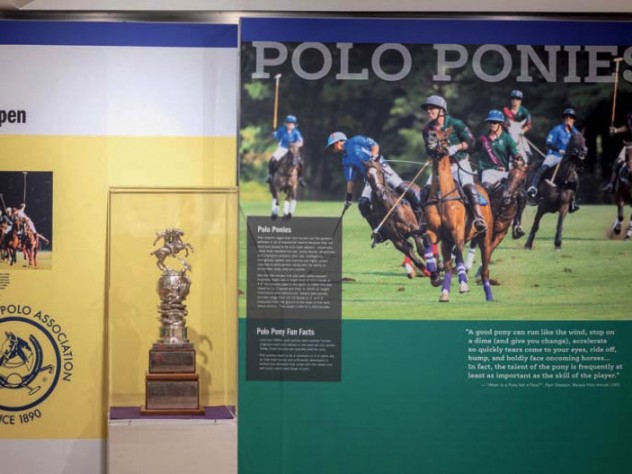 A display about polo, which still attracts fans and players in Massachusetts and at Harvard.