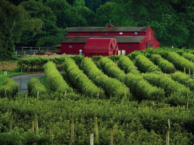Views of orchards and iconic red bar at Lookout farm