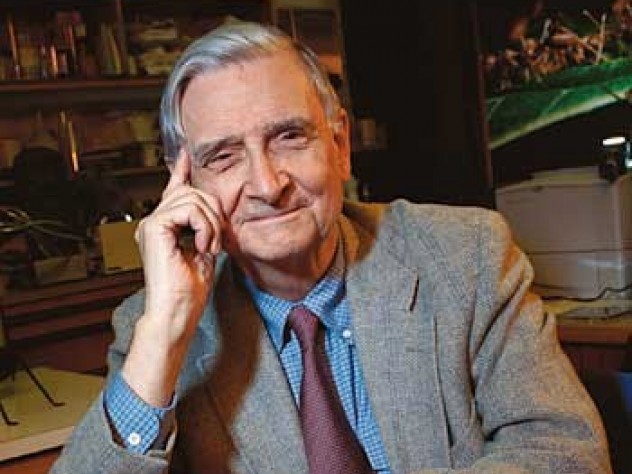 E. O. Wilson with his new <i>Pheldole</i> monograph and a specimen tray from the Museum of Comparative Zoology collection.