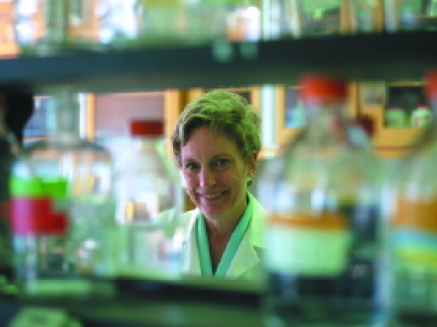 Researcher Francine Benes has penetrated a "blind spot" in neuroscience.