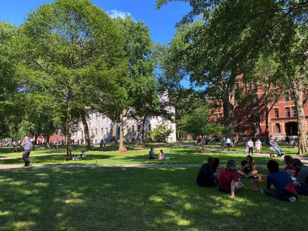 Students gather on the grass in Harvard yard