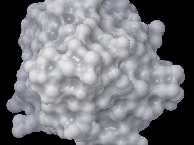 Image courtesy of Brent R. Stockwell The undruggable protein KRAS, found mutated in a high percentage of pancreatic, colon, and lung cancers, among others. No drugs have yet been found that can block the cancer-causing effects of mutant KRAS—the problem that concerns Brent Stockwell and other pharmaceutical researchers.