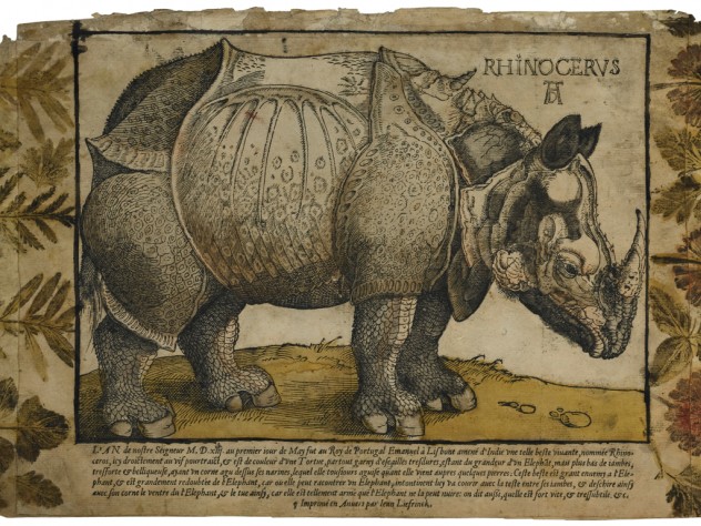 Image © The Trustees of the British Museum. Unknown artist, after Albrecht Dürer and Hans Liefrinck the elder, <i>Rhinoceros,</i> c. 1550. Woodcut with hand- coloring, letterpress, and impressed plants.