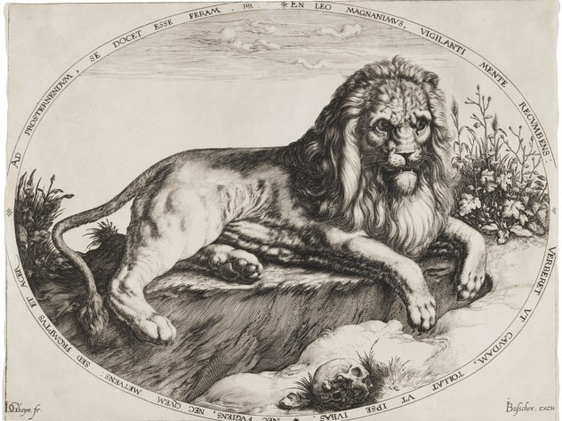 Image courtesy of the Department of Digital Imaging and Visual Resources, Harvard Art Museums, © 2011 President and Fellows of Jacques de Gheyn II, <i>Great Lion,</i> c. 1590. Engraving.
