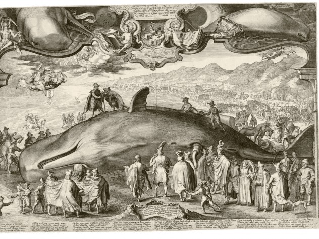 Jan Saenredam’s 1602 engraving, <i>Beached Whale near Beverwijk,</i> shows the artist himself sketching the scene in the left foreground, translating empirical information gathered by others to create an accurate visual record of the carcass. Yet the allegorical frame at the top of the print nevertheless alludes to a classical past by asking whether the beaching of the whale is an ill omen for the Dutch.