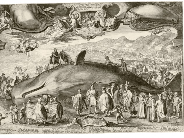 Image courtesy of the New Bedford Whaling Museum Jan Saenredam’s 1602 engraving, <i>Beached Whale near Beverwijk,</i> shows the artist himself sketching the scene in the left foreground, translating empirical information gathered by others to create an accurate visual record of the carcass. Yet the allegorical frame at the top of the print nevertheless alludes to a classical past by asking whether the beaching of the whale is an ill omen for the Dutch.
