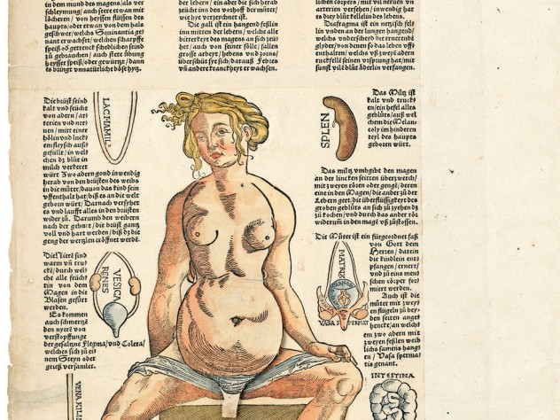 Image courtesy of the Boston Medical Library in the Francis A. Countway /Library of Medicine. Heinrich Vogtherr the Elder’s 1544 <i>Anatomy; or a faithful reproduction of the body of a female</i> goes further (see next image).