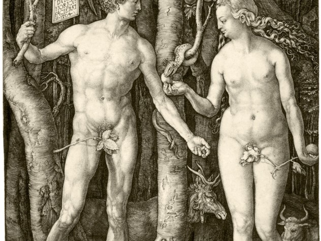 Image courtesy of Department of Digital Imaging and Visual Resources, Harvard Art Museums © 2011 President and Fellows of Harvard College. Dürer’s 1504 <i>Adam and Eve,</i> a study of the perfect human body, from early in his career, presaged lifelong interests: from studies of human proportion to naturalistic renderings of plants and animals.
