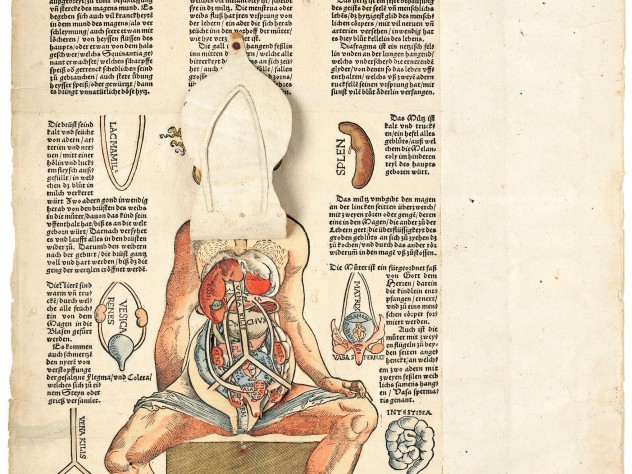 Image courtesy of the Boston Medical Library in the Francis A. Countway /Library of Medicine. In Heinrich Vogtherr the Elder’s 1544 <i>Anatomy; or a faithful reproduction of the body of a female</i>, paper flaps allow internal exploration of the human body.