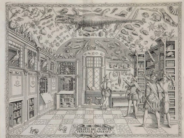 From <i>Cabinets of Curiosity and Rooms of Wonder</i> at the Houghton Library