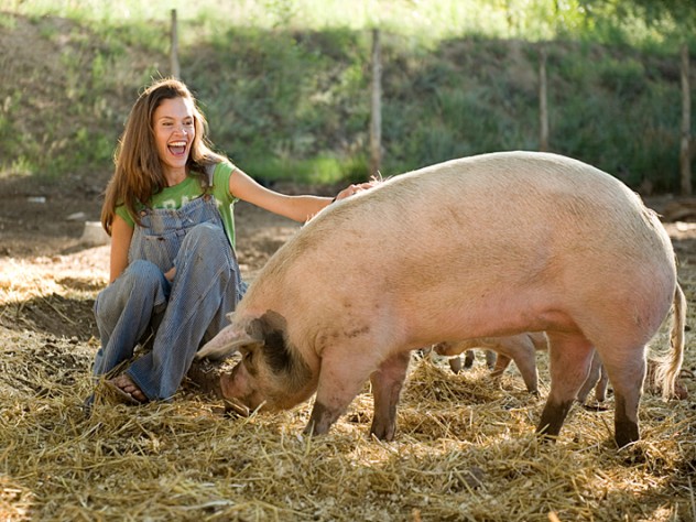 wade pigs
