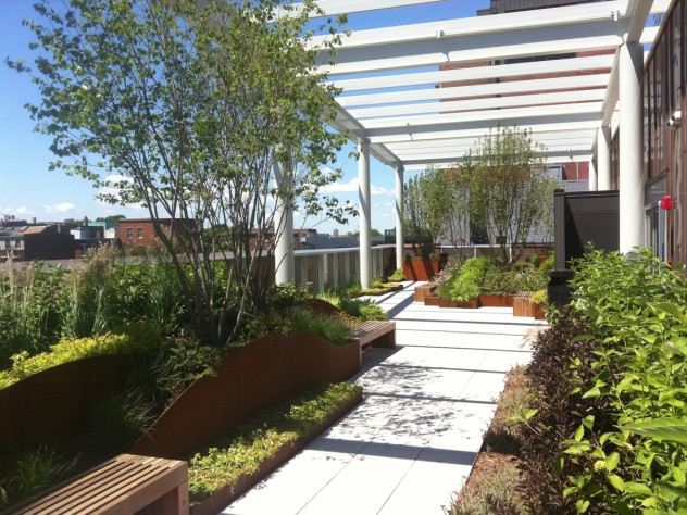 Photograph courtesy of Massachusetts General Hospital Communications Office The new museum’s rooftop garden, looking west