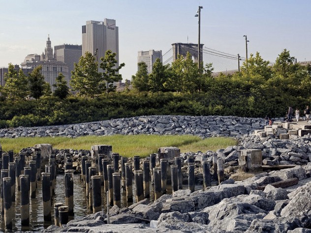 Photograph by Elizabeth Fossard In the park: natural habitat—a newly created salt marsh—at the urban edge