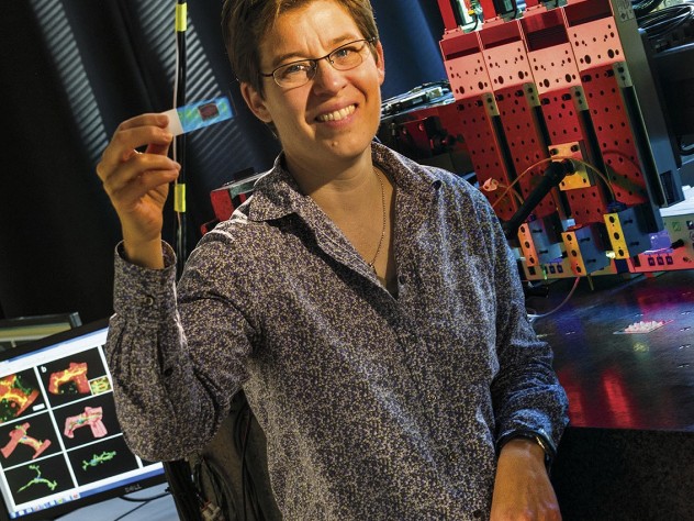 Jennifer Lewis