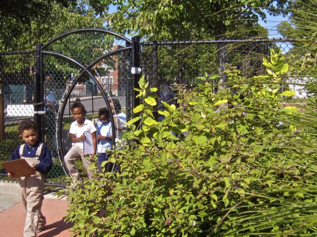 Photograph courtesy of Ross Miller Miller has designed outdoor classroom spaces for several Boston Public Schools.