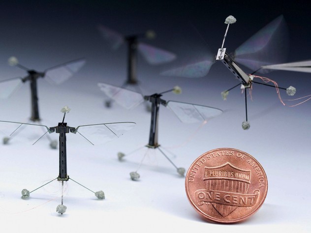 Photograph by Kevin Ma and Pakong Chirarattanonon, Robert Wood Laboratory