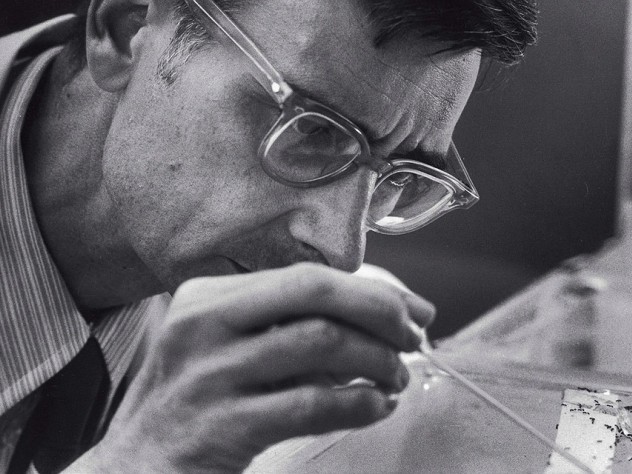 Photograph of E.O. Wilson observing ants