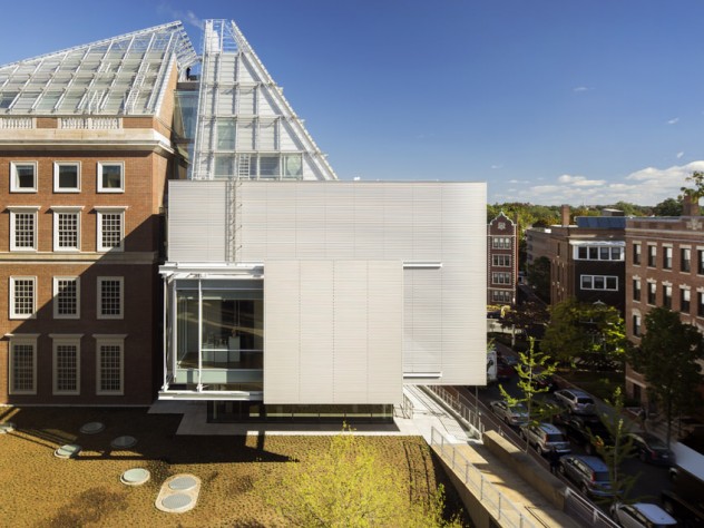 The Winter Garden galleries of the Harvard Art Museums were designed as places for visitors to rest their minds and eyes, says architect Renzo Piano.