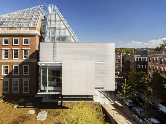 Photograph by Nic Lehoux/Harvard Art Museums The Winter Garden galleries of the Harvard Art Museums were designed as places for visitors to rest their minds and eyes, says architect Renzo Piano.