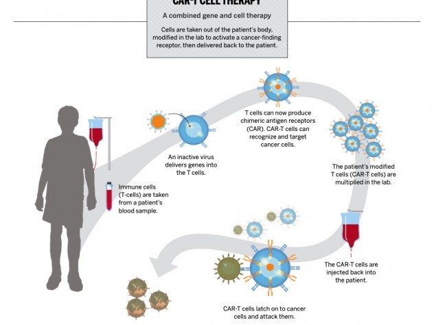 center for biological therapies