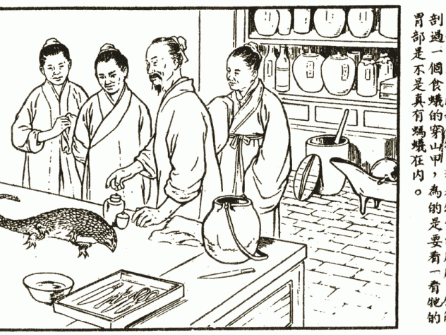 Li prepares to dissect a pangolin, from a popular pamphlet, <i>Li Shizhen: Great Scholar of Medical Drugs</i> (1955).