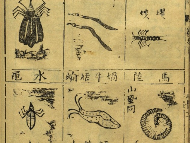 Pages from a first edition of the <i>Bencao gangmu</i> illustrate insects demonic and quotidian (this image) and assorted dragons and their bones (next image), all prescribed by Li for use in medicinal drugs.