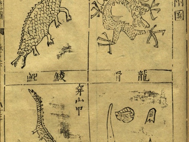 Pages from a first edition of the <i>Bencao gangmu</i> illustrate insects demonic and quotidian (previous image) and assorted dragons and their bones, all prescribed by Li for use in medicinal drugs.
