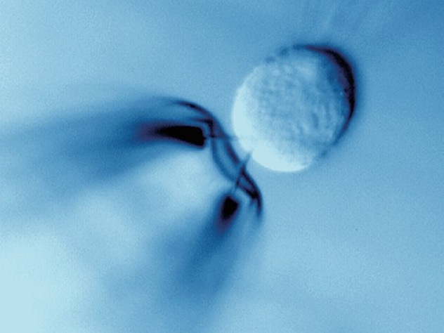 Once the nanowire has been lifted up, it can penetrate three-dimensional structures such as cells.