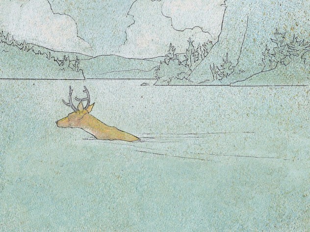 Robert Frost Revealed In His Letters Harvard Magazine