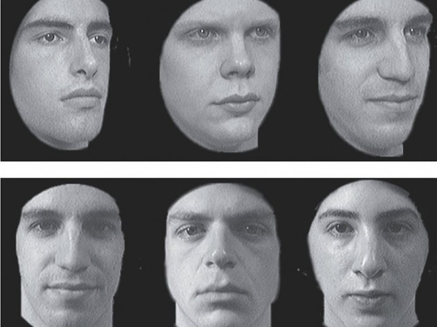 Courtesy of Brad Duchaine Test My Brain hosts various psychological studies like this one, of facial-recognition abilities.