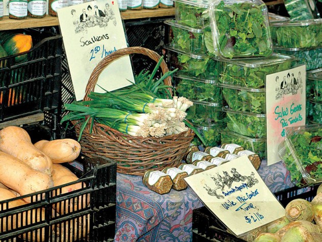 The Cambridge Winter Farmers Market Expands Harvard Magazine